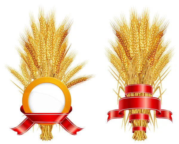 Уши из пшеницы и ленты — стоковый вектор
