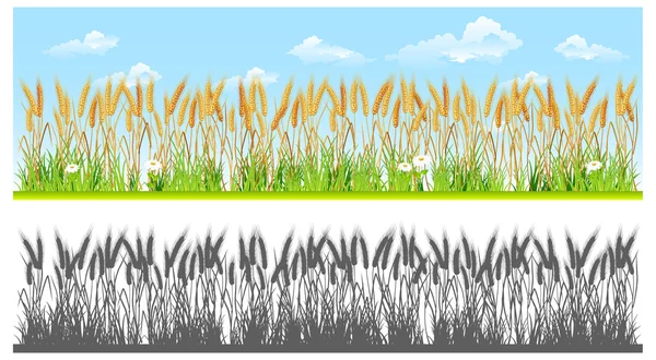 stock vector Landscape with wheat