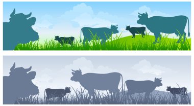 Cow on meadow clipart