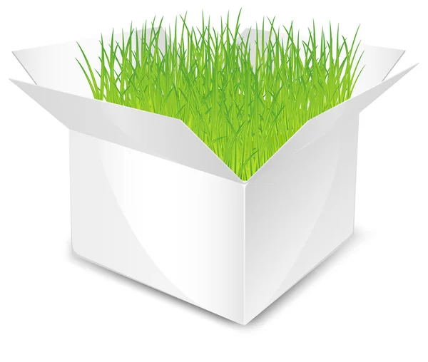 Schachtel mit Gras — Stockvektor