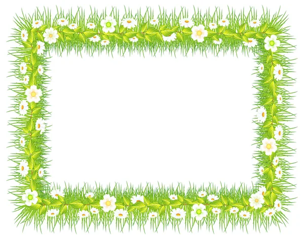 Frame with grass & flowers — Stock Vector