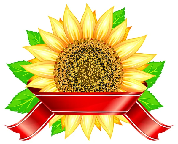Sunflower & ribbon — Stock Vector