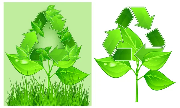 Recycle sign on plant — Stock Vector