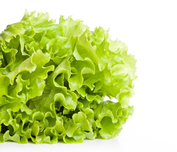 stock image A lettuce is on the table