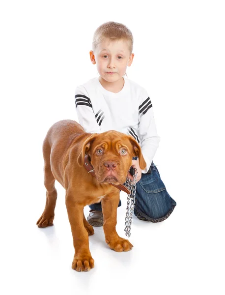 Um menino bonito com o cão — Fotografia de Stock