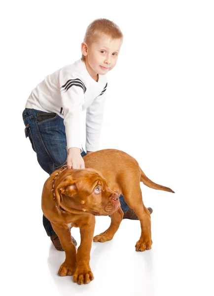 一个可爱的男孩与狗 — 图库照片