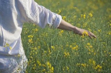 Hand of man in field clipart