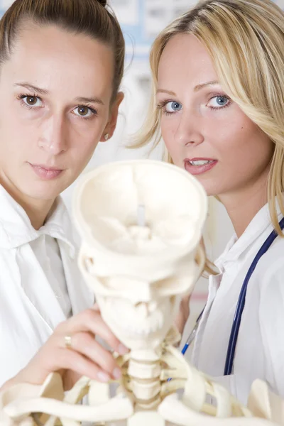 Студенты-медики со скелетом — стоковое фото