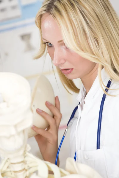 Студент-медик со скелетом — стоковое фото