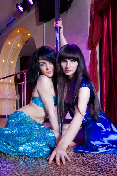 Två strippor poserar på scenen vid nordpolen — Stockfoto