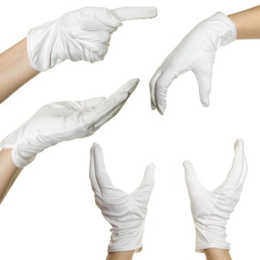 Human's hands in white glove clipart