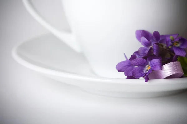 First violets flowers — Stock Photo, Image