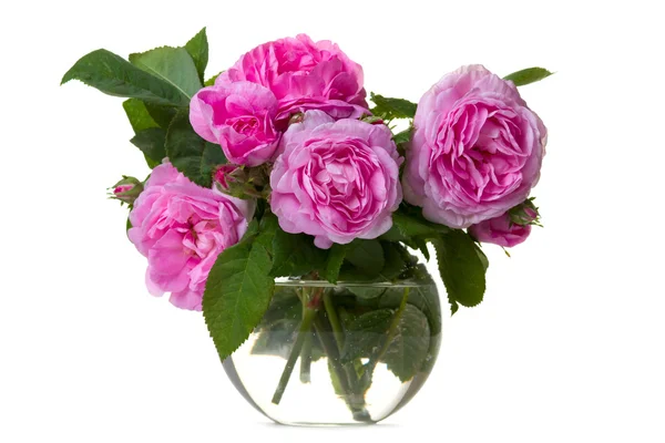 Троянди рожеві букет — стокове фото