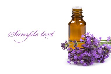 Aromatherapy oil clipart