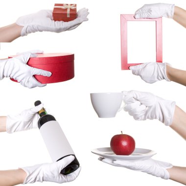 Human's hands in white glove clipart