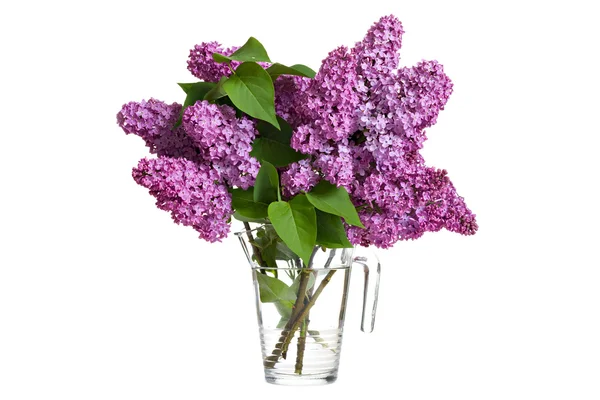 Bouquet of spring purple lilac — Stock Photo, Image