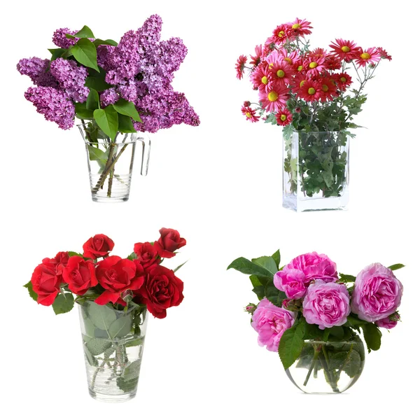 Set di fiori — Foto Stock
