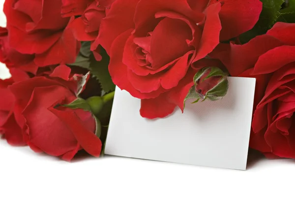 Όμορφα τριαντάφυλλα με μια λευκή κάρτα — Φωτογραφία Αρχείου