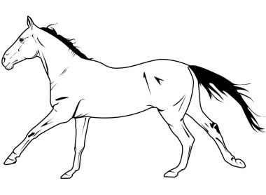 Horse vector clipart