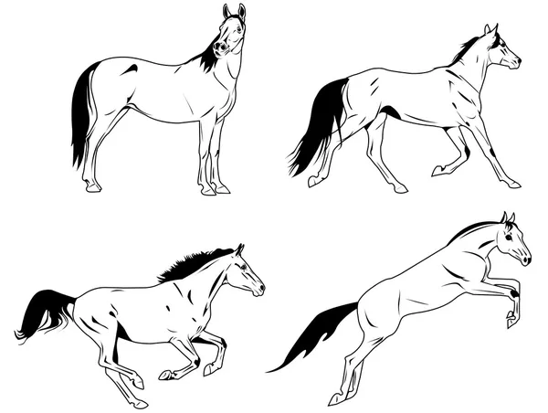 Vector paarden — Stockvector