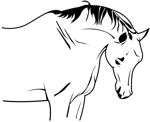 Paardenvector — Stockvector