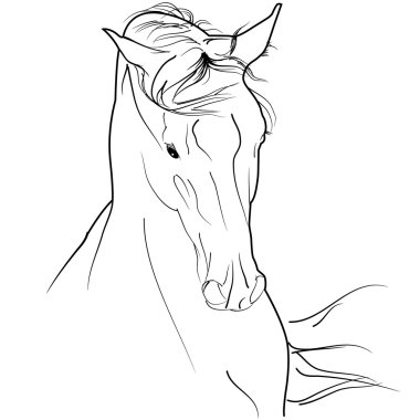 Arab horse sketch clipart