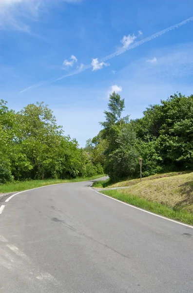 Rural road on bright sunny day — Stock Photo, Image