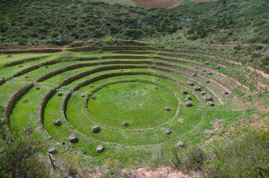 Agriculture experiment of the Incas clipart