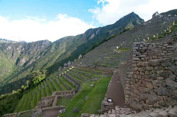 Grasterrassen am Machu Picchu — Stockfoto