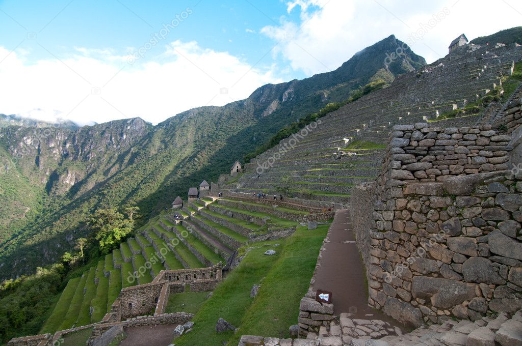 Grass terraces at Machu Picchu