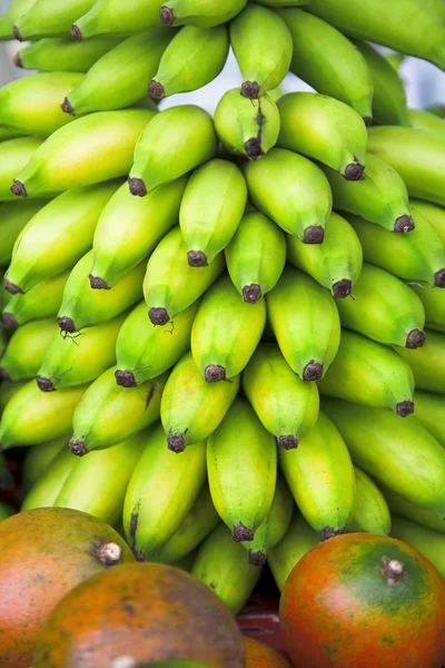 Πράσινο μπανάνες — Φωτογραφία Αρχείου