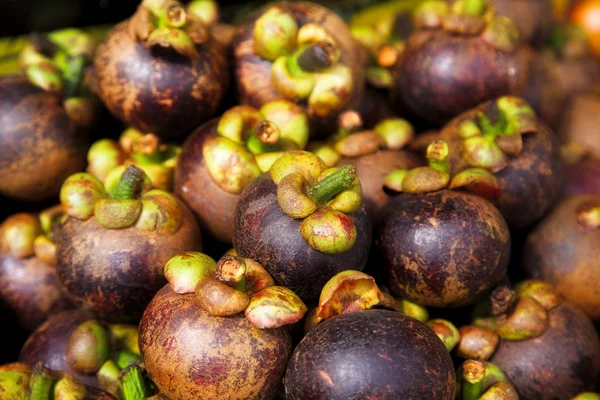 Mangostán púrpura — Foto de Stock