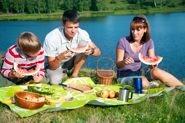 Rodinný piknik Stock Obrázky