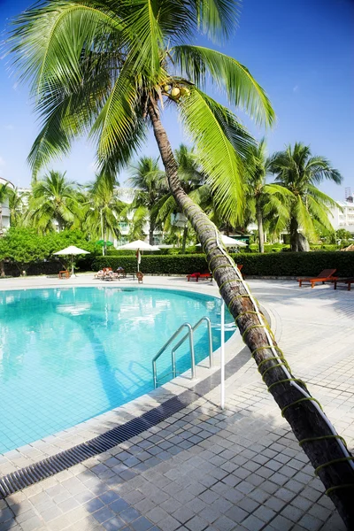 Tropický resort — Stock fotografie