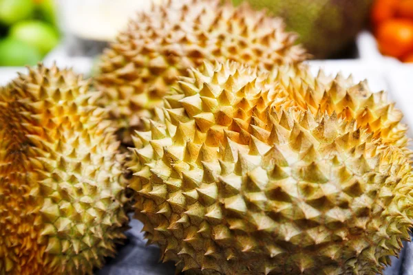 stock image Durian