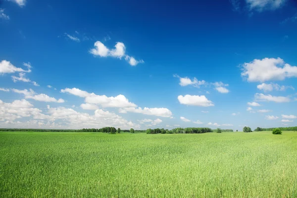 Agrarische landschap — Stockfoto
