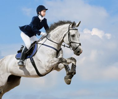 Equestrian jumper clipart