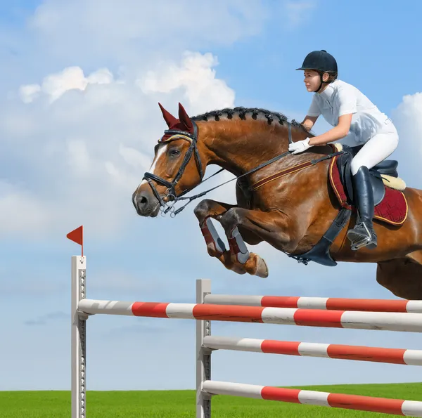 Saltador equestre - cavaleiro e égua-da-baía — Fotografia de Stock