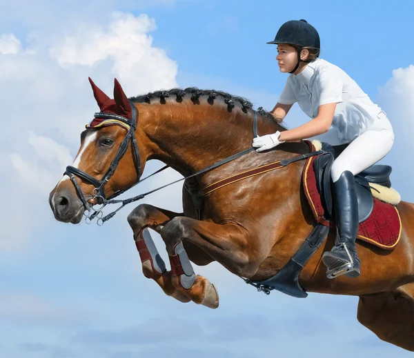 Ιππασίας άλτης - horsewoman και κόλπων mare — Φωτογραφία Αρχείου
