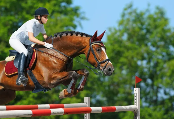 Equestrian jumper - horsewoman and bay mare — Stock Photo, Image