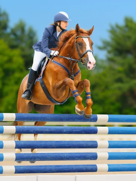 Sport equestre - salto dello spettacolo — Foto Stock