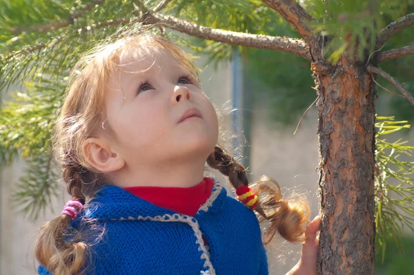 Kleines Mädchen geht im Wald spazieren — Stockfoto