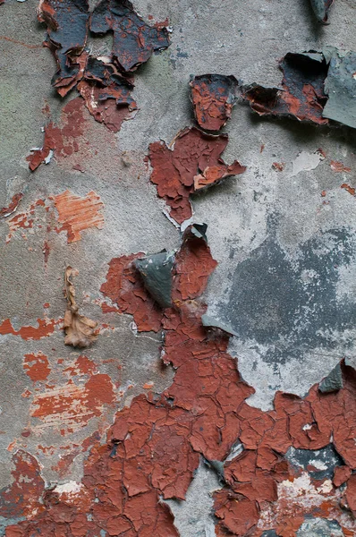 오래 된 회색 벽 — 스톡 사진