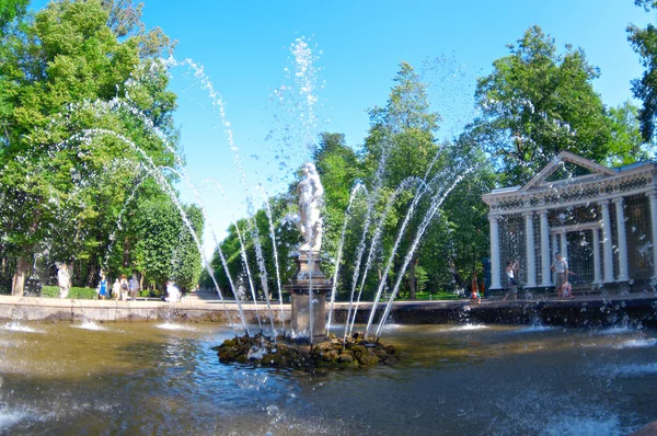 Один из великих парков и музеев русской культуры — стоковое фото