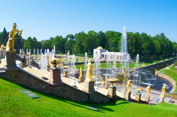 Fountains of Peterhof in summer — Stock Photo, Image
