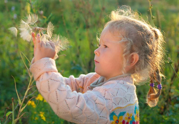 Girl with a large dandelion — Stock Photo, Image