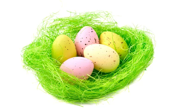 stock image Easter eggs in a nest