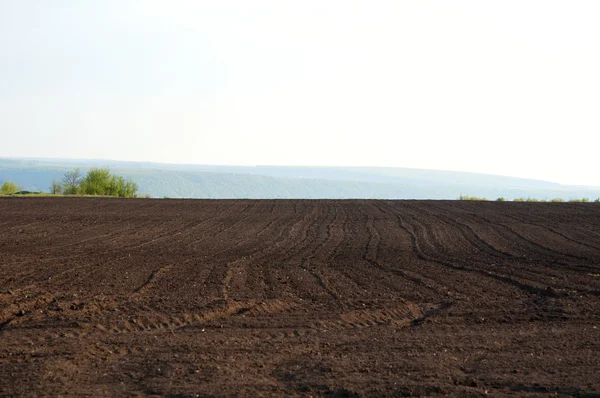 stock image Plowed Field