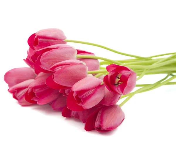 stock image Bouquet of pink tulips