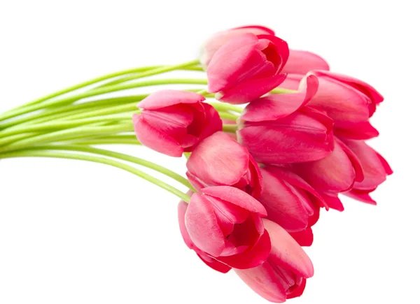 Stock image Bouquet of pink tulips